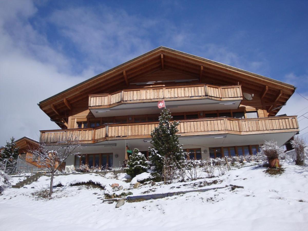 Chalet Pfingsteggblick กรินเดลวัลด์ ภายนอก รูปภาพ