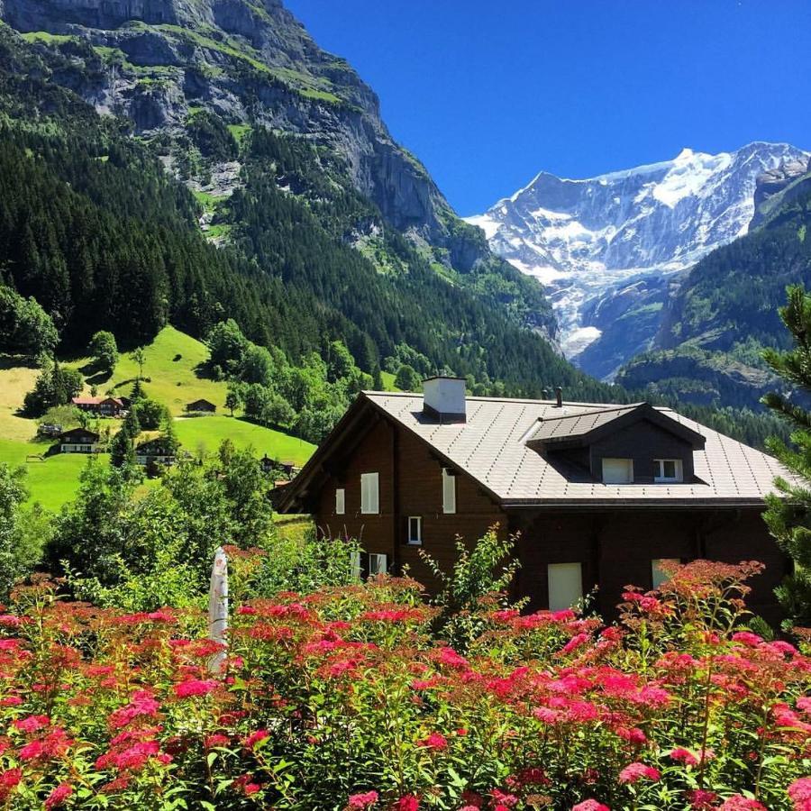 Chalet Pfingsteggblick กรินเดลวัลด์ ภายนอก รูปภาพ