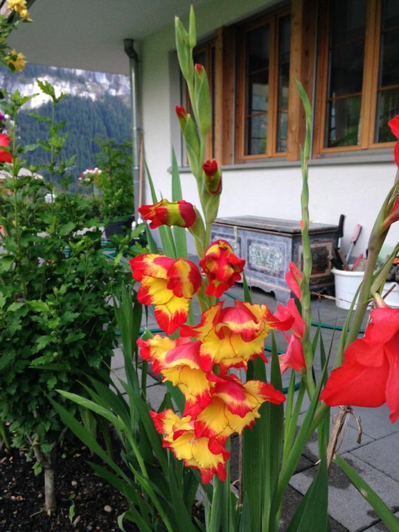 Chalet Pfingsteggblick กรินเดลวัลด์ ภายนอก รูปภาพ