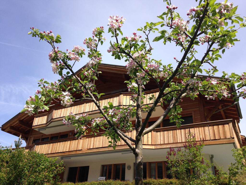 Chalet Pfingsteggblick กรินเดลวัลด์ ภายนอก รูปภาพ